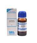 SBL Homeopathy Valeriana Officinalis Mother Tincture Q | Grab2Buy
