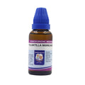 Father Muller Pulsatilla Nigricans Dilution