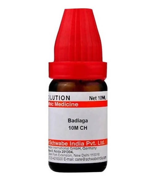 Dr. Willmar Schwabe India Badiaga Dilution | Grab2Buy
