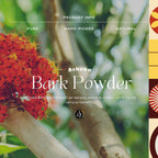 Organic AyurveGrab2Buyn Ashoka Bark Powder | Grab2Buy