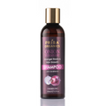 Prisa Organics Onion & Turmeric Shampoo | Grab2Buy