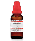 Dr. Willmar Schwabe India Blatta Orientalis Dilution | Grab2Buy