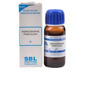 SBL Homeopathy Andrographis Paniculata (Kalmegh) Mother Tincture Q | Grab2Buy