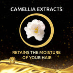 Palmolive Luminous Oil Argan Oil & Camelia Shampoo | Grab2Buy