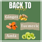 Satvi Wellness Turmeric Ginger Amla Tea| Turmeric Tea| Ginger Tea| Amla Tea | Herbal Tea