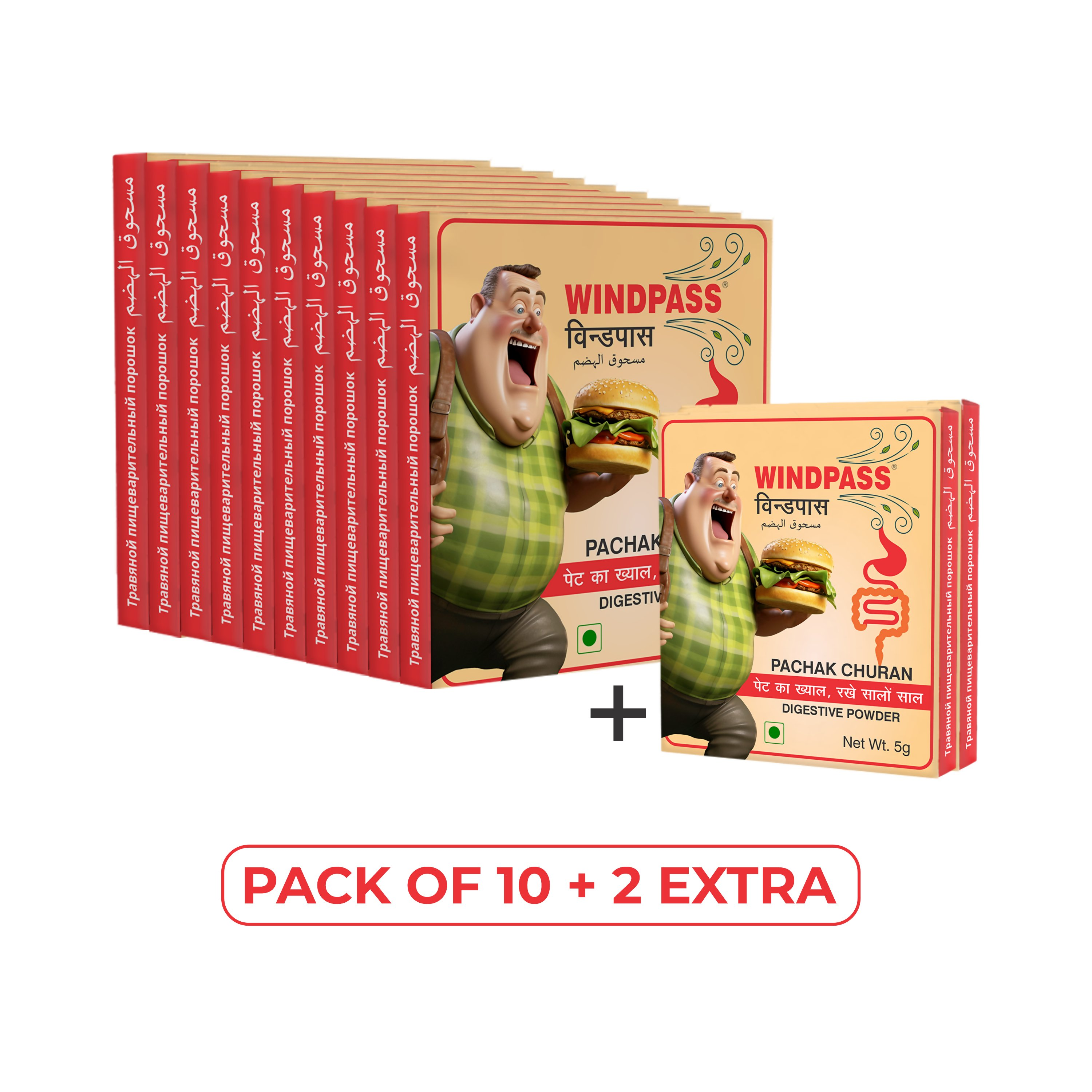 Satya Pharmaceuticals Ayurveda Windpass Pachak Churan Sachet | Grab2Buy
