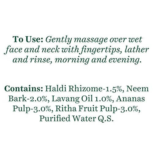 Biotique Advanced Ayurveda Bio Pineapple Oil Control Foaming Face Cleanser | Grab2Buy