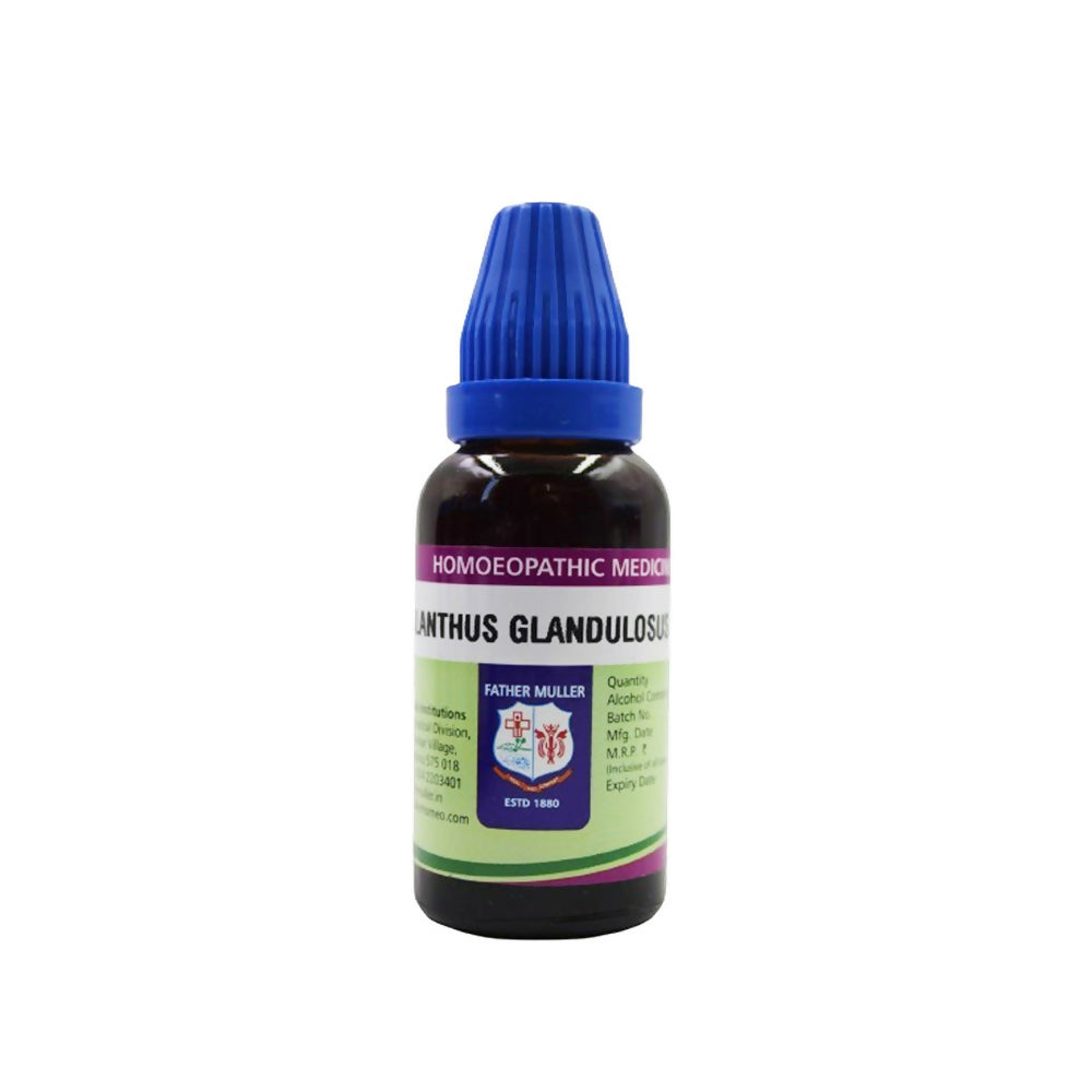 Father Muller Ailanthus Glandulosus Mother Tincture Q | Grab2Buy