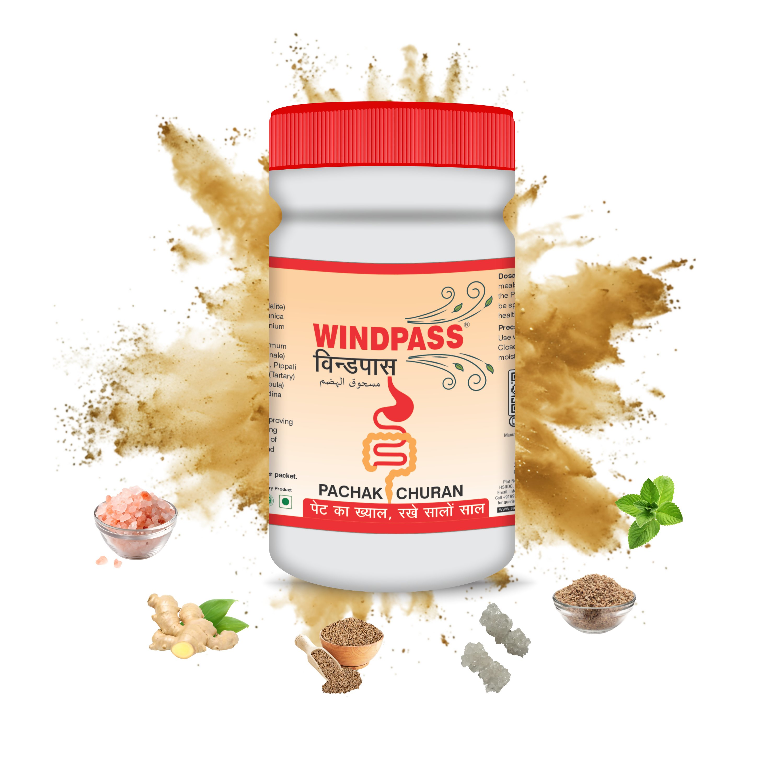 Satya Pharmaceuticals Ayurveda Windpass Pachak Churan | Grab2Buy