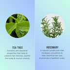 HASK Tea Tree Oil & Rosemary Hair & Scalp Treatment Mask | Grab2Buy