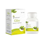 Four Seasons Giloy Immunity Wellness Tablets