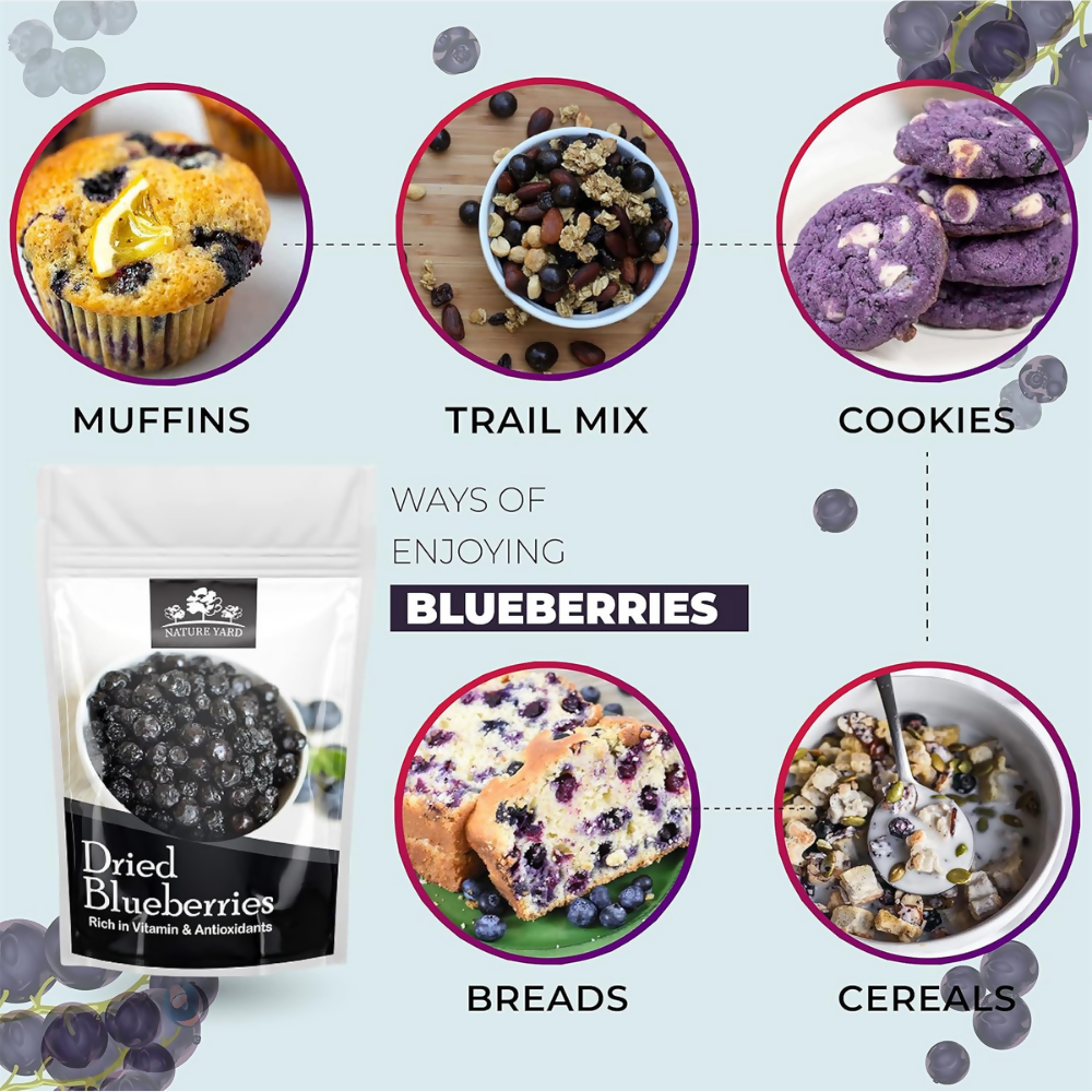 Nature Yard Blueberry Dried Without Sugar | Grab2Buy