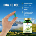 Search Wellness Hadjod Capsules | Grab2Buy
