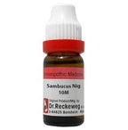 Dr. Reckeweg Sambucus Nig Dilution | Grab2Buy