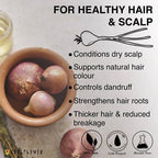 Soulflower Herbal Onion Hair Growth Oil | Grab2Buy