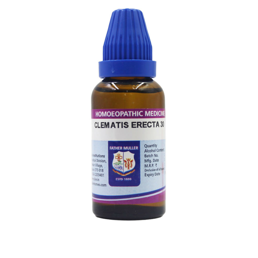Father Muller Clematis Erecta Dilution | Grab2Buy