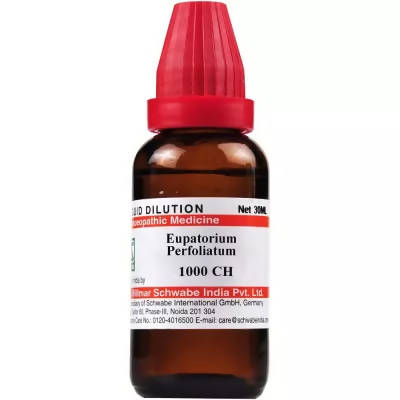 Dr. Willmar Schwabe India Eupatorium Perfoliatum Dilution | Grab2Buy