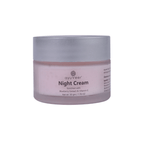 Ayuveer Night Cream With Blueberry Extract & Vitamin E | Grab2Buy