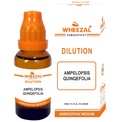 Wheezal Homeopathy Ampelopsis Quinquefolia Dilution | Grab2Buy