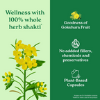 Organic India Gokshura Capsules