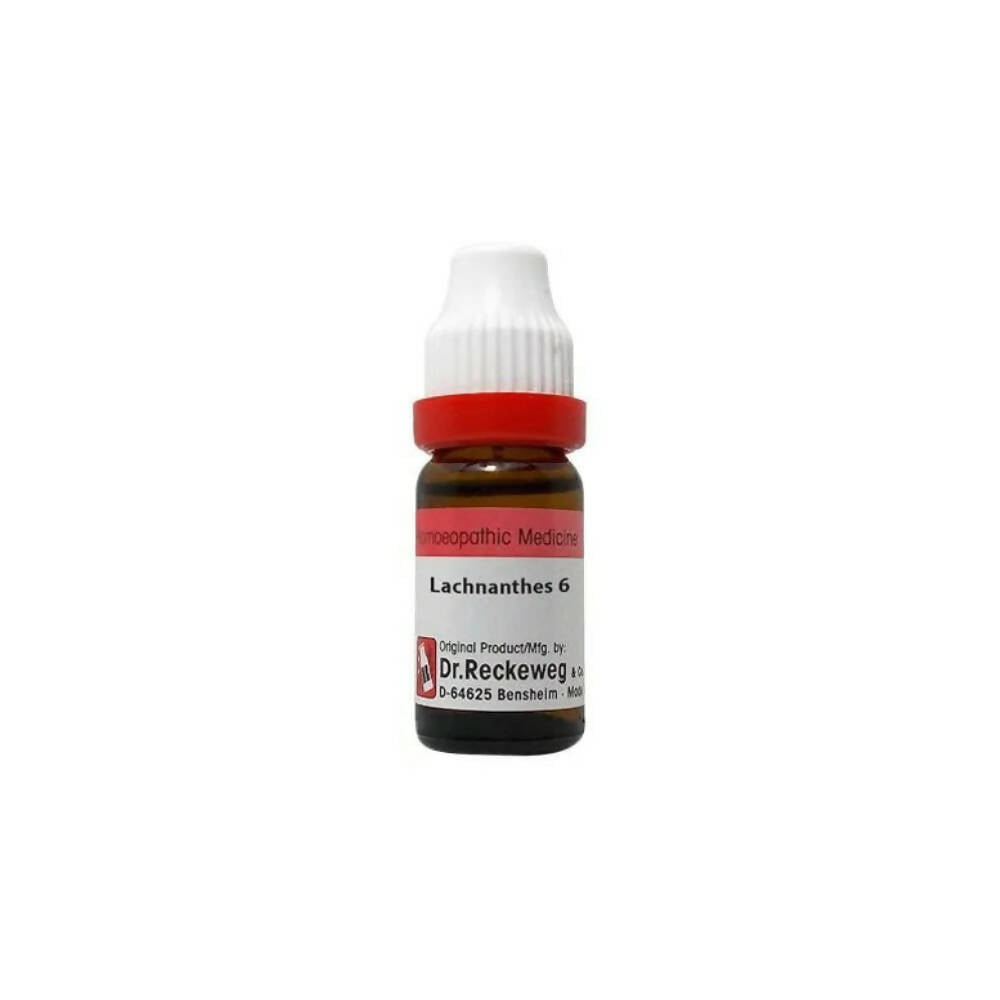 Dr. Reckeweg Lachnanthes Dilution | Grab2Buy