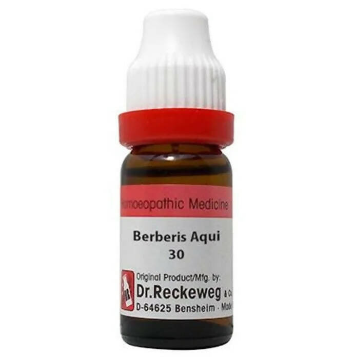 Dr. Reckeweg Berberis Aqui Dilution | Grab2Buy