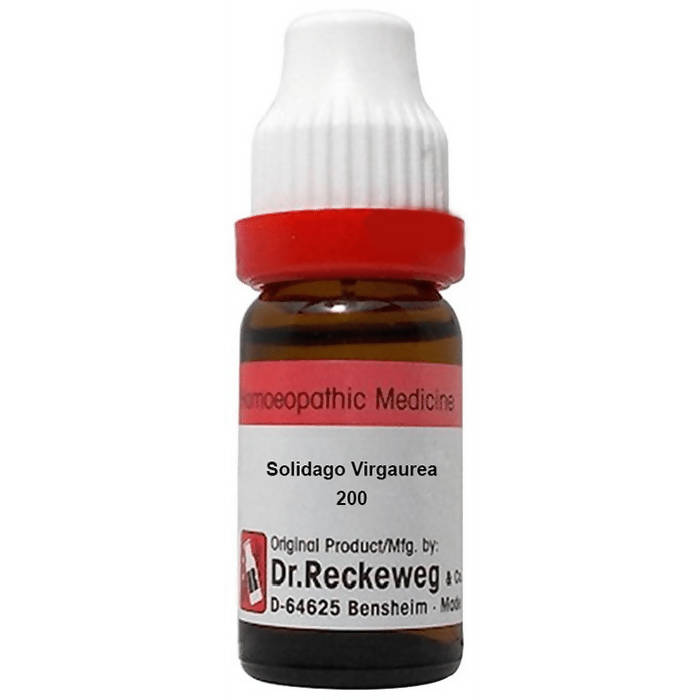 Dr. Reckeweg Solidago Virgaurea Dilution | Grab2Buy