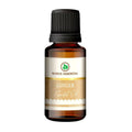 Korus Essential Ginger Essential Oil - Therapeutic Grade | Grab2Buy