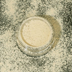 PAC Studio Translucent Powder (Mini) - 04