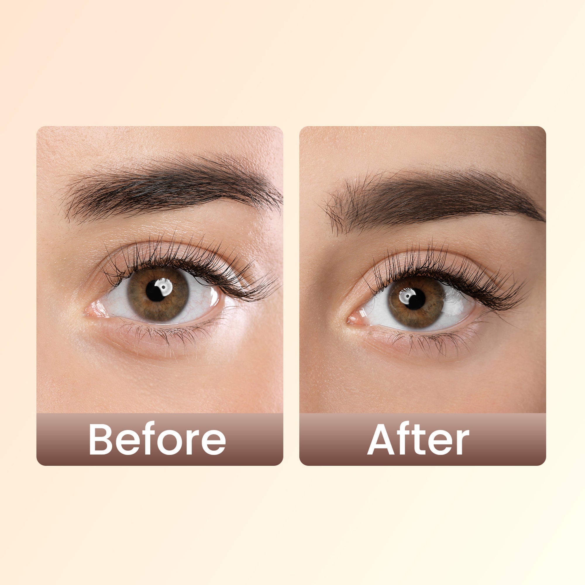 Swiss Beauty Brow Definer Pencil - 01 Chestnut