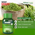 Herbal Canada Wheat Grass Capsules