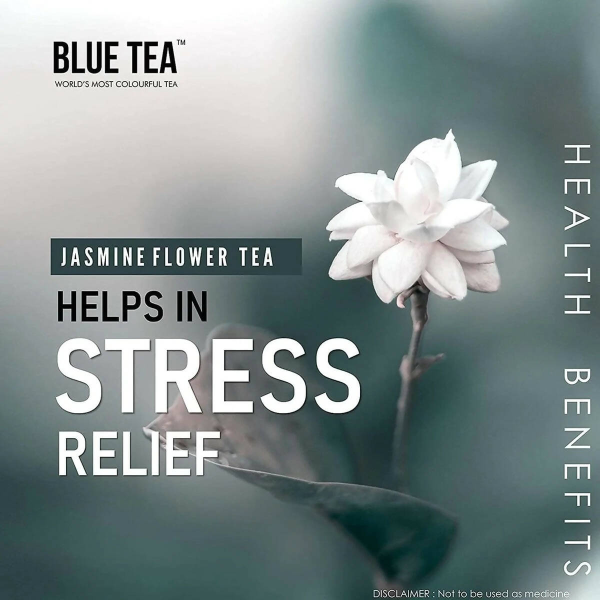 Blue Tea Organic Jasmine Green Tea | Grab2Buy