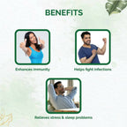 Dr. Vaidya's Ashwagandha Capsules | Grab2Buy