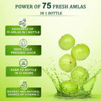 Vansaar Amla Juice | Grab2Buy