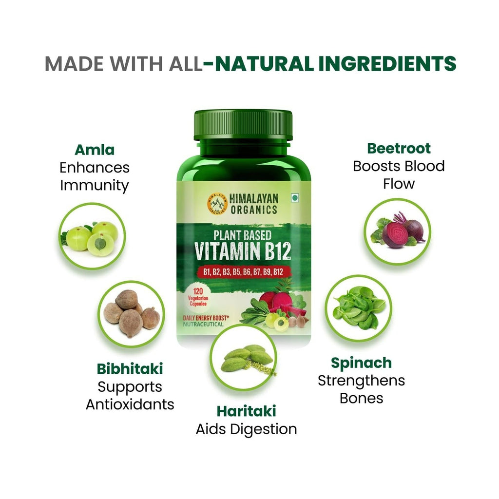 Himalayan Organics Organic B12 500mg Vegetarian Capsules | Grab2Buy