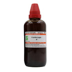Dr. Willmar Schwabe India Condurango Mother Tincture Q | Grab2Buy