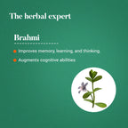 Himalaya Wellness Pure Herbs Brahmi Mind Wellness | Grab2Buy