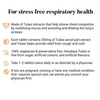 Himalaya Wellness Tulasi Respiratory Wellness | Grab2Buy