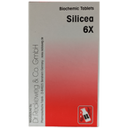 Dr. Reckeweg Silicea Biochemic Tablets