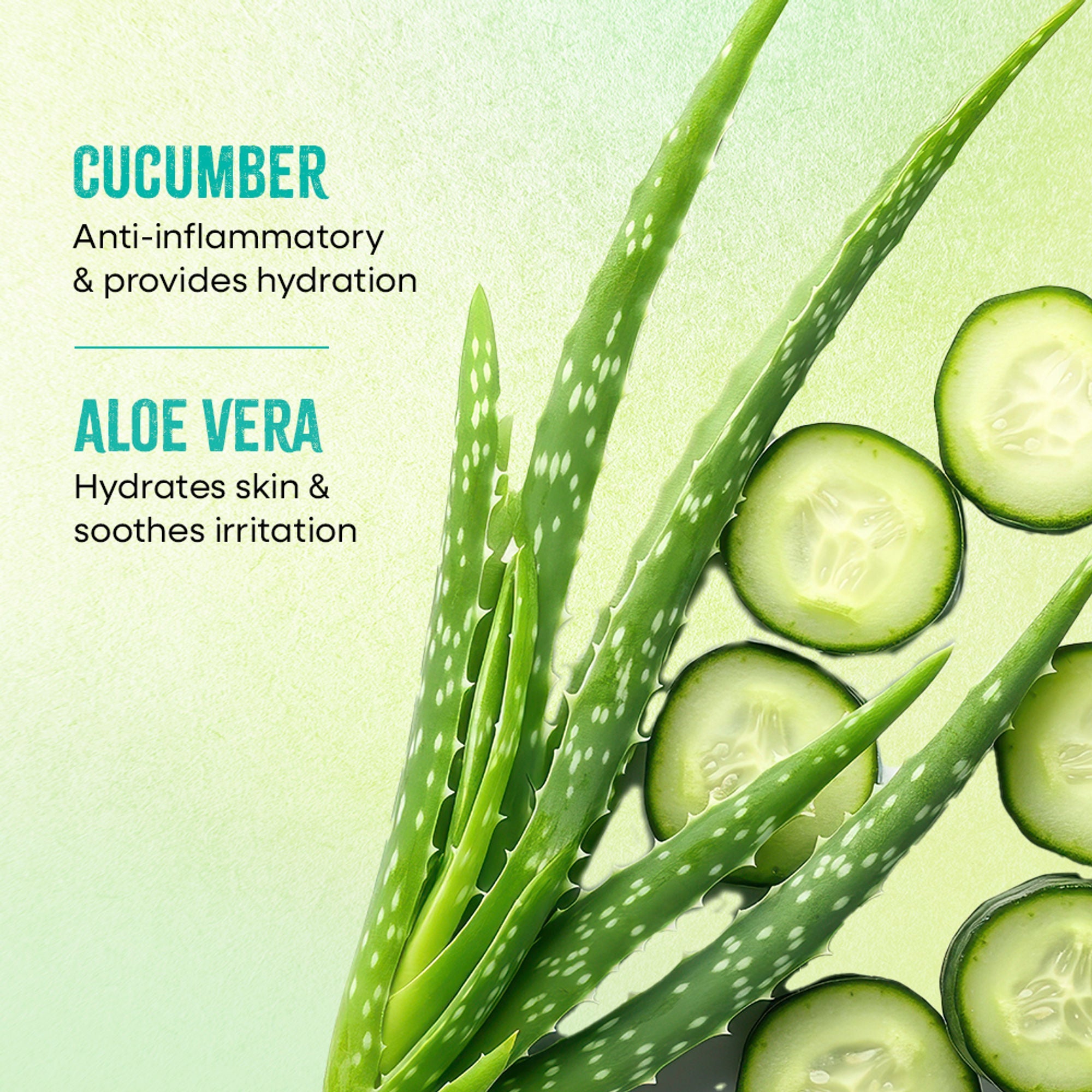 Nykaa Green Tea + Aloe Vera Sheet Mask For Hydrated Skin - Formulated in Korea - For All Skin Types - Cucumber & Aloe Vera