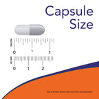 Now Foods Dandelion Root 500mg Veg Capsules | Grab2Buy