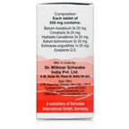Dr. Willmar Schwabe India Alpha - SH Tablet | Grab2Buy