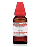 Dr. Willmar Schwabe India Blatta Orientalis Dilution | Grab2Buy