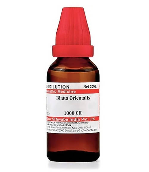 Dr. Willmar Schwabe India Blatta Orientalis Dilution | Grab2Buy