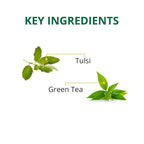 TE-A-ME Restore Tulsi Green Tea Bags
