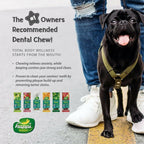 Happi Doggy Dental Chew Care Digestive Support Pumpkin & Mountain Yam | Grab2Buy