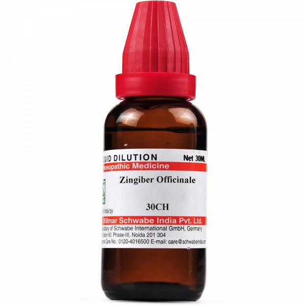 Dr. Willmar Schwabe India Zingiber Officinale Dilution | Grab2Buy