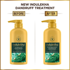 Indulekha Dandruff Treatment Shampoo | Grab2Buy