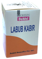 Dehlvi Labub Kabir