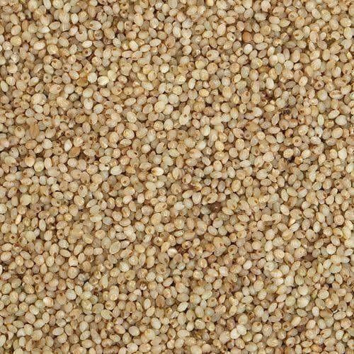Organic Little Millet | Grab2Buy